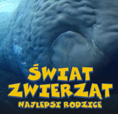 Świat zwierząt. Najlepsi rodzice